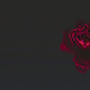 Scentin - Thomas Krieber - 2025